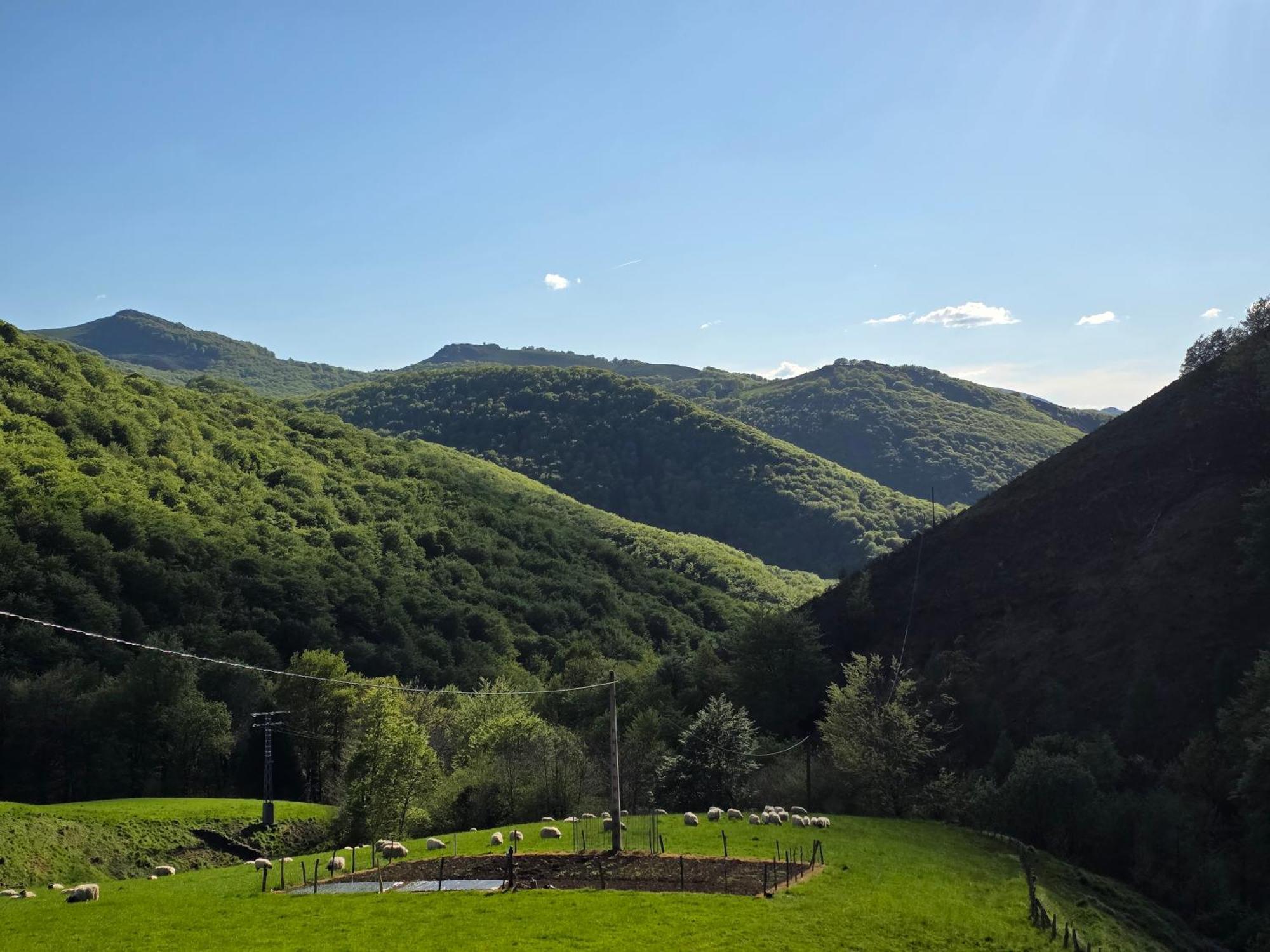 Casa Rural Urruska Елисондо Екстериор снимка