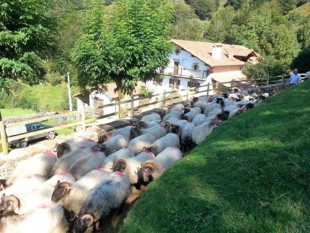 Casa Rural Urruska Елисондо Екстериор снимка