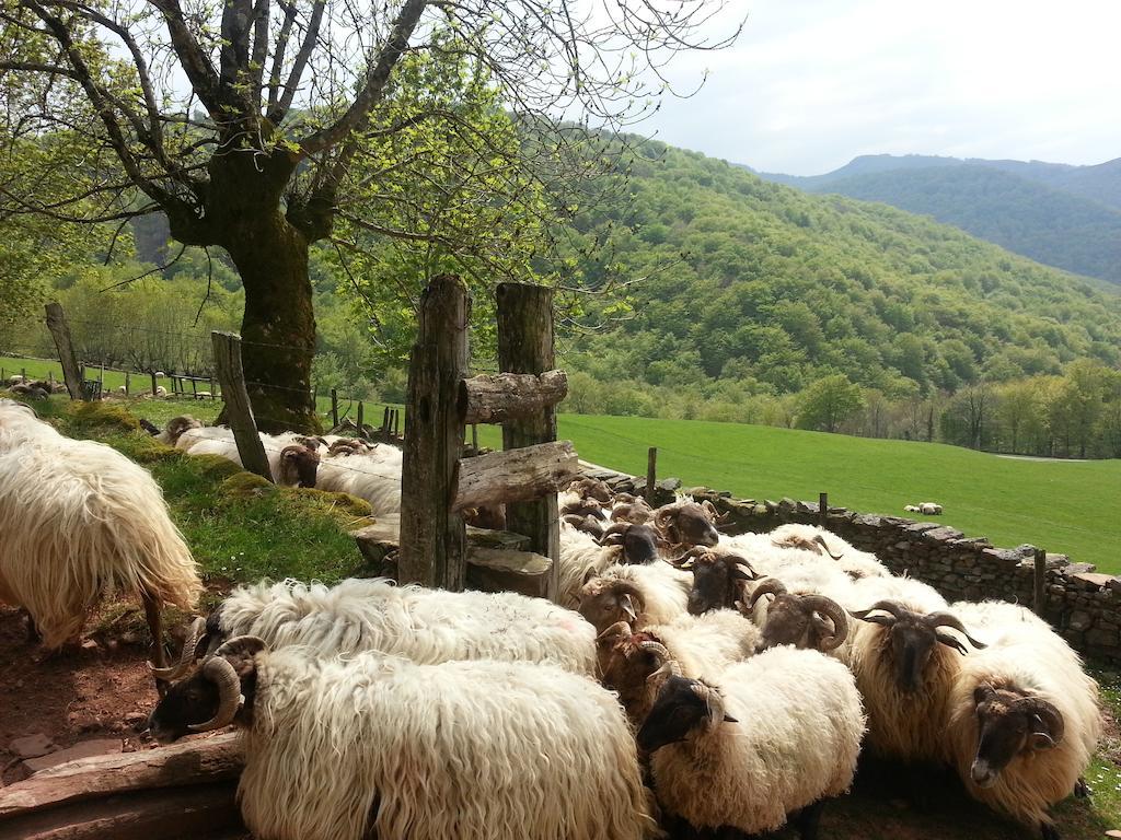 Casa Rural Urruska Елисондо Екстериор снимка