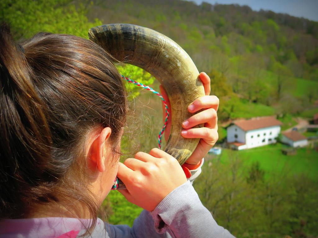 Casa Rural Urruska Елисондо Екстериор снимка